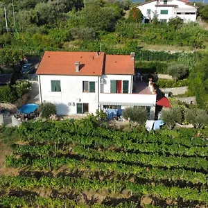In Vino Veritas , Arcola Italy